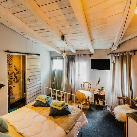 Livo Disno 12 Apartament *